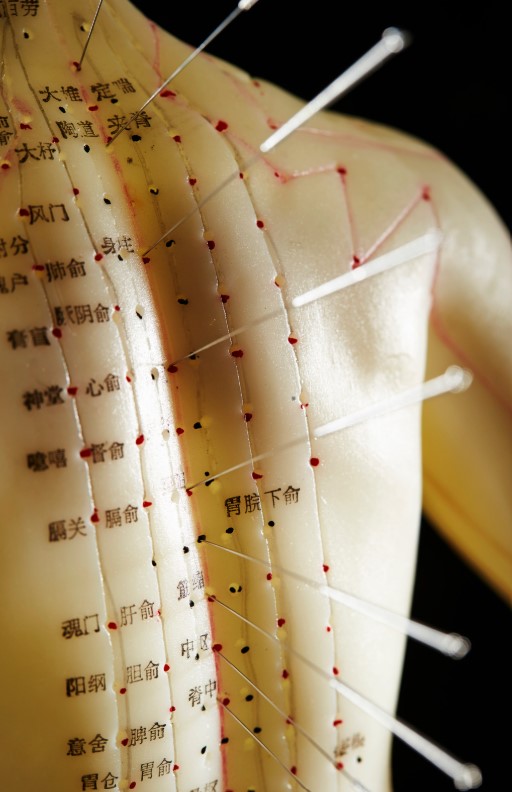 RootCare blog visual for recovery and digestion articles