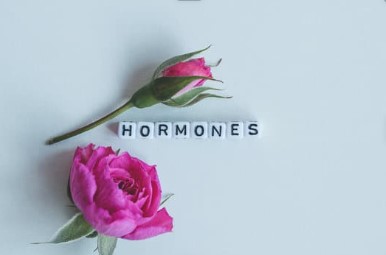 Hormone and cycle condition guide image